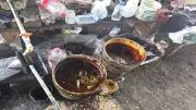 37 capturados y 20 toneladas de químicos incautados en operativo contra panela adulterada en Nariño