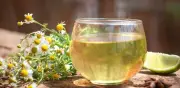 5 beneficios de la infusión de manzanilla para el hígado y la digestión