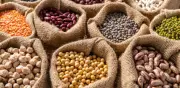 Agro colombiano impulsa economía con 10,9% del PIB en primer trimestre de 2026