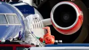 Alerta en Italia por hantavirus en vuelo KLM y crucero MV Hondius
