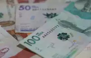 Alertan por nuevos billetes falsos en Colombia: cayó banda que los movía
