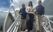 Alias ‘Pelirroja’, una de las más buscadas en el Valle, fue expulsada de Chile