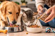 Alimento para mascotas subió 23% en 2024, pero el mercado colombiano creció