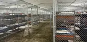 Alligator Alcatraz, la polémica prisión para migrantes, cerraría sus puertas