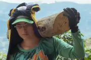 Andariega: el documental que visibiliza a las mujeres recolectoras de café en Colombia
