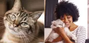 Beneficios de convivir con un gato según la ciencia: salud y bienestar
