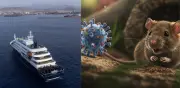 Brote de hantavirus en crucero: OMS asegura que el riesgo para la población es bajo