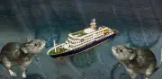 Brote de hantavirus en crucero: tres muertos y 149 personas aisladas