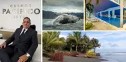Buenaventura busca romper dependencia del avistamiento de ballenas con oferta turística para todo el año