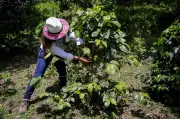 Campesinos alertan sobre riesgos de trasladar funciones de tierras a jueces