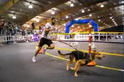 Canicross 4K en Cáqueza: deporte y bienestar animal por los perros rescatados