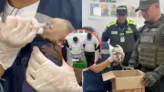 Capturan a pareja por tráfico de monos en aeropuerto de Cartagena; uno murió