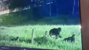 Capturan en Bucaramanga a hombre buscado por hurto calificado y agravado