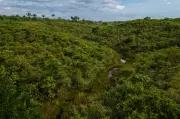 Caquetá será sede de cumbre mundial sobre cambio climático en 2026