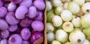 Cebolla morada vs blanca: diferencias, propiedades y beneficios para la salud