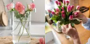 Cómo hacer que las rosas duren más de una semana en casa: claves para evitar que se marchiten