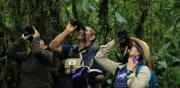 Colombia busca liderar aviturismo en el Global Big Day 2026