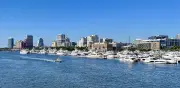 Colombia en Miami: cambios en votación para presidenciales en West Palm Beach y Sarasota