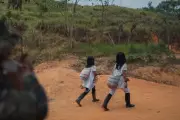 Consejo de Estado condena al Estado por violencia sexual contra niña wiwa
