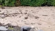Creciente súbita del río Cañaveral incomunica a 60 familias en El Águila, Valle