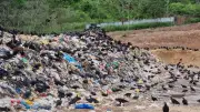 Crisis de basuras en Quindío escala a la Fiscalía con denuncia penal
