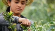 Críticas por retrasos en aprobación de Jurisdicción Agraria en Colombia