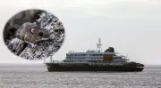 Crucero con hantavirus rumbo a Canarias pese a rechazo de España