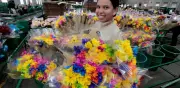 Día de la Madre en Medellín: regalos, presupuesto y seguridad