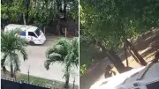 Denuncian a conductor de ambulancia por ruido y drogas en Cali