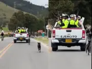 Denuncian que militares abandonaron a dos perros en vía de Bogotá