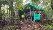 Desmantelan laboratorio de coca del Clan del Golfo en Betulia, Santander