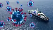 Director de la OMS revela baja probabilidad de pandemia de hantavirus