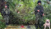 Ejército halla más de 250 minas antipersona en Tumaco, Nariño