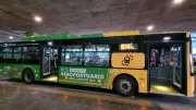 El Dorado renueva su flota de buses eléctricos gratuitos entre terminales