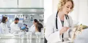 Estudio logra regenerar hueso, tendones y ligamentos en mamíferos con método en dos etapas