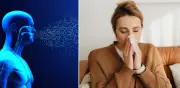 Estudio revela que la gripe causa más muertes de lo que se cree oficialmente