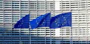 Eurodiputado pige 