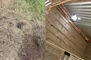 Explosión de dron en Corinto, Cauca, deja dos civiles heridos en medio de combates