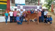 Feria Ganadera de El Socorro: 111 edición con 2.000 reses