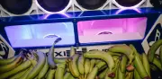 Festival Cayeye 2026 en Barranquilla: programación, lugares y cómo participar