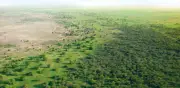 África contra el desierto: la barrera natural de 8000 km que frena al Sahara
