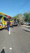 Fuerte accidente entre mula y bus en la vía Barranquilla-Cartagena deja varios heridos