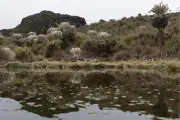 Hallan con vida a estudiante de la UIS desaparecido en Santurbán