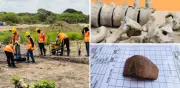 Hallan esqueleto precolombino bajo pista del aeropuerto de Tolú