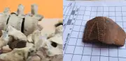 Hallan más de 360 mil fragmentos arqueológicos en obras del aeropuerto Golfo de Morrosquillo