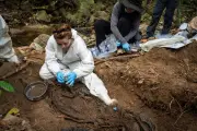 Hallazgo en la Sierra Nevada: cuerpo de desaparecido tras 20 años