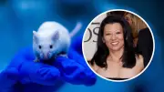 Hantavirus: brote en crucero y muerte de esposa de Gene Hackman reavivan alerta