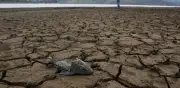 Ideam alerta: sequía severa entre junio y agosto en Colombia