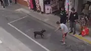 Indignación en Rionegro por muerte de perro en operativo policial
