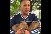 Influencer a prisión por usar animales silvestres en precarias condiciones